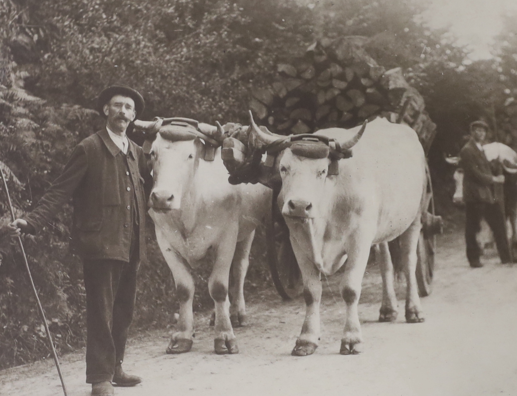 Three framed early 20th century farming photographs, largest 59.5cm wide x 39.5cm high